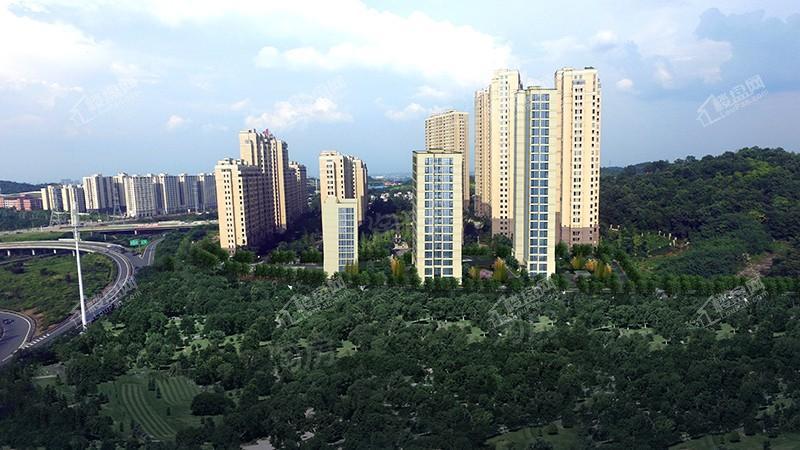 兴旺·小爱同学效果图