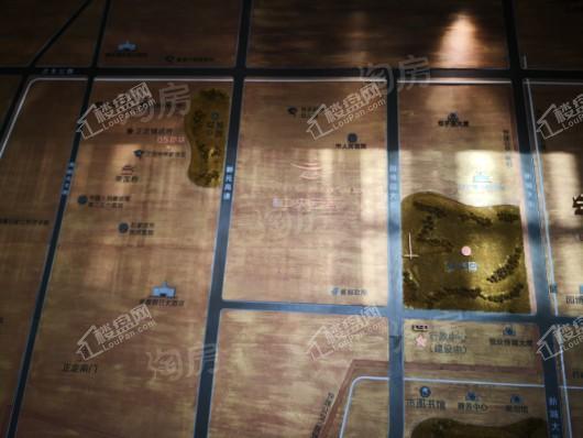 金辉中央云著实景图