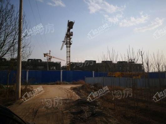 金辉中央云著实景图