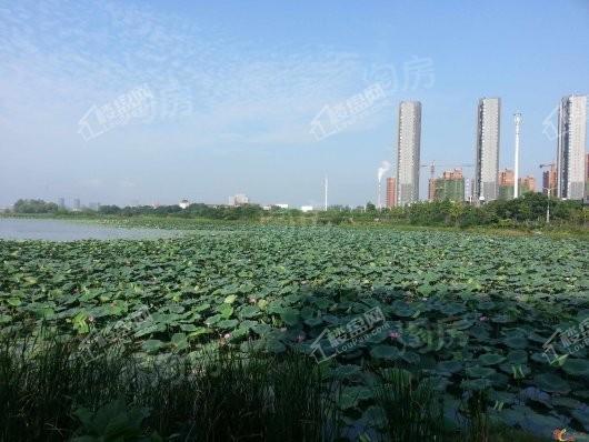 洺悦华府配套图