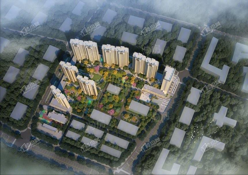 效果图