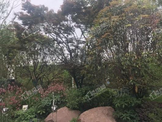 御璟悦来实景图
