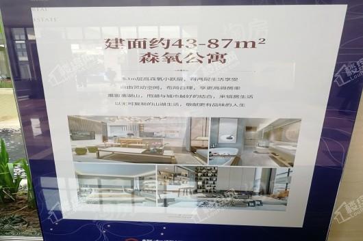 格力两江总部公园实景图