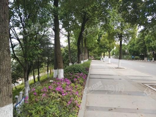 龙湖春江天镜配套图