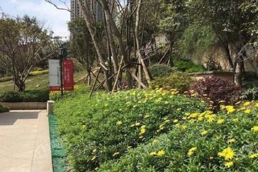 启迪协信重庆科技城实景图
