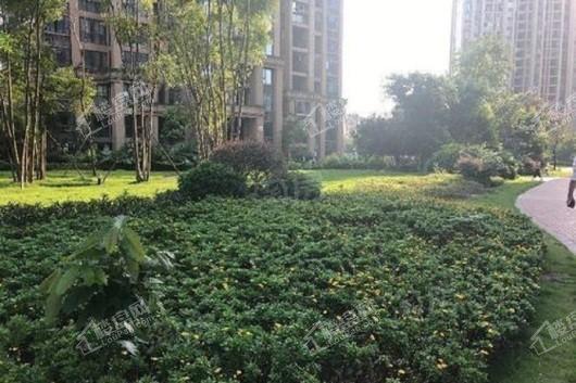 启迪协信重庆科技城实景图
