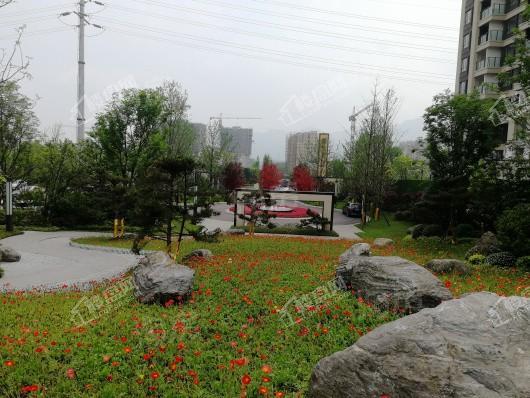 悦麓山实景图