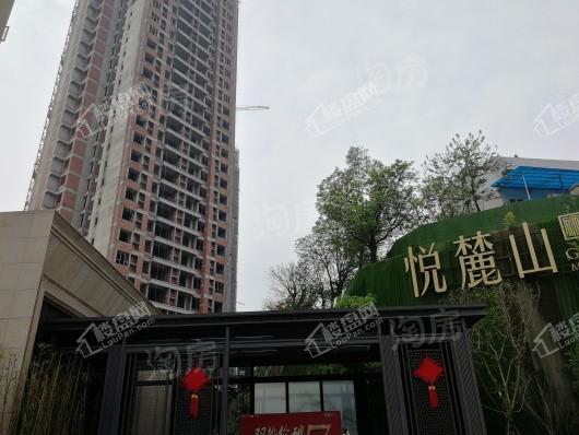 悦麓山实景图