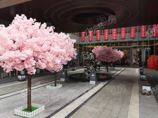 中建湖山印象实景图