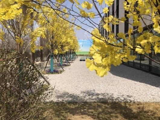 华润置地万象府实景图