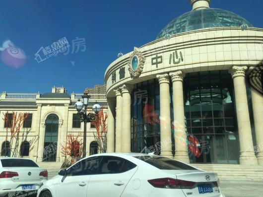 阳光美湖天地实景图