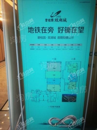 新郑碧桂园双湖城实景图