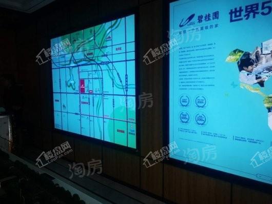 新郑碧桂园双湖城实景图