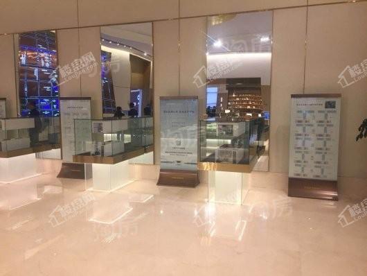 美盛象湖100实景图