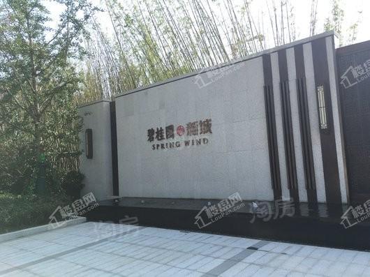 碧桂园新城·十里春风实景图