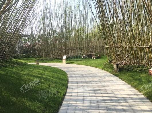 碧桂园新城·十里春风实景图