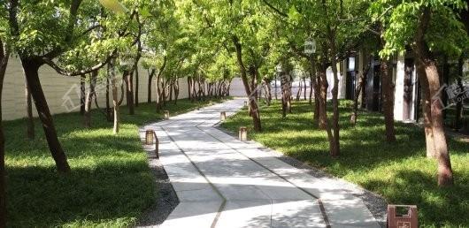 旭辉·公园府实景图