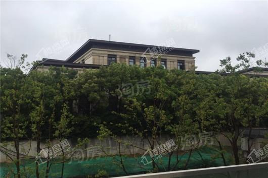 升龙桃花园著实景图