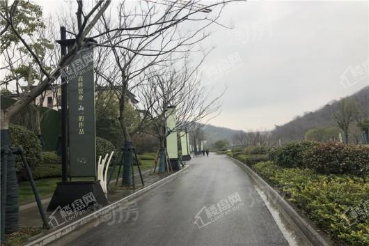 高科紫微堂实景图