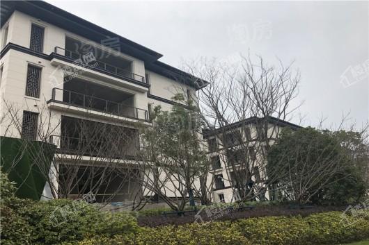 高科紫微堂实景图