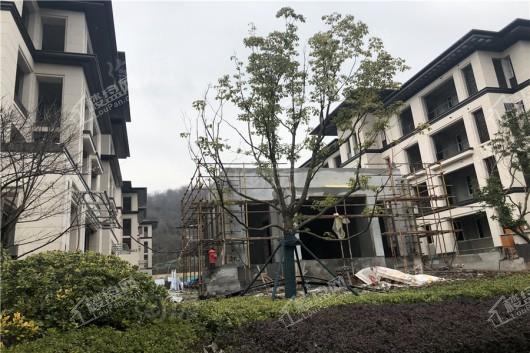 高科紫微堂实景图