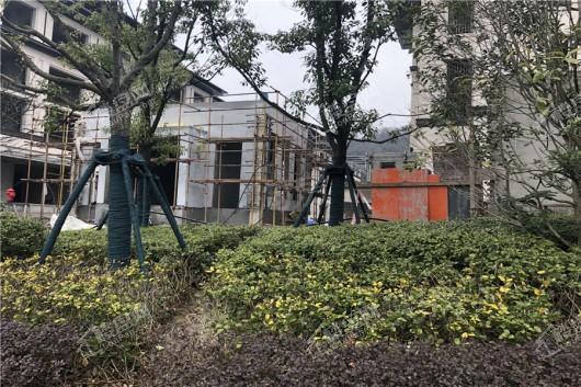 高科紫微堂实景图