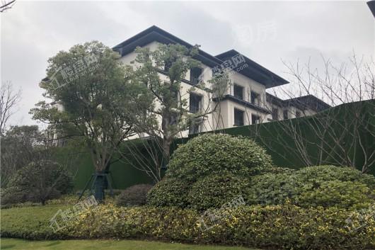 高科紫微堂实景图
