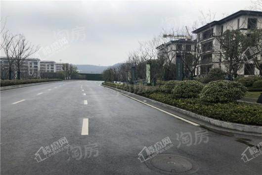 高科紫微堂实景图