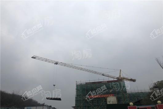 高科紫微堂实景图
