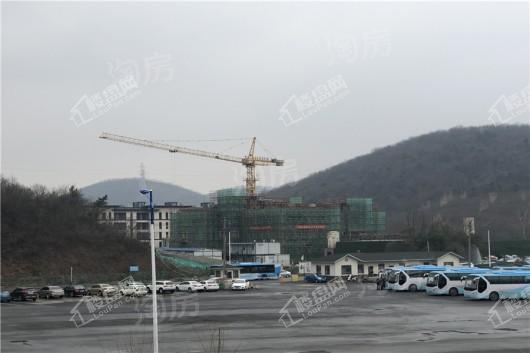 高科紫微堂实景图