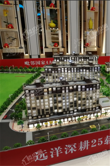 远洋棠悦山水实景图