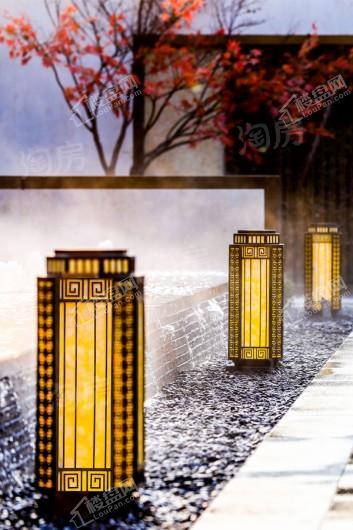 固城湖·金茂逸墅实景图