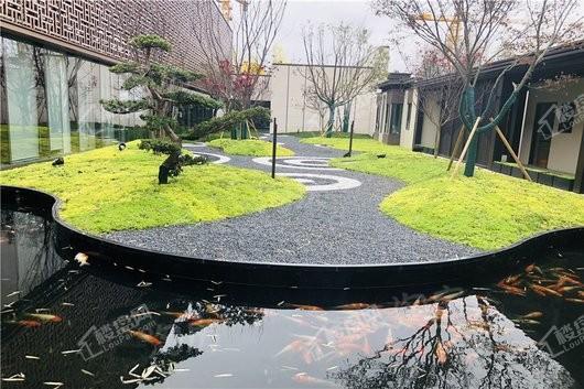 空港新都孔雀城实景图