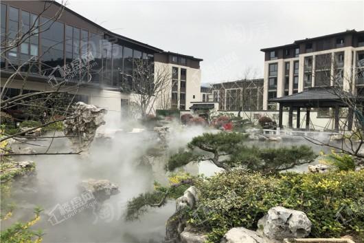 绿城云栖玫瑰园实景图