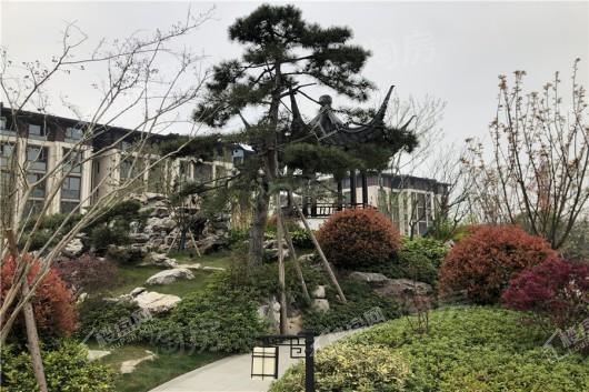 绿城云栖玫瑰园实景图