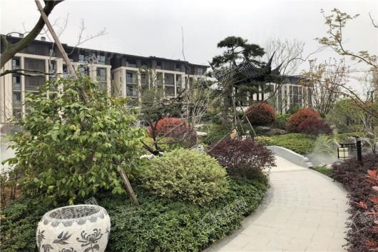 绿城云栖玫瑰园实景图