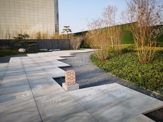 金辉中央云著实景图