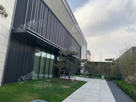 金辉中央云著实景图