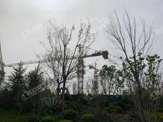 金辉中央云著实景图