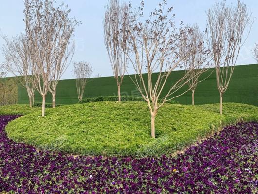 金辉中央云著实景图