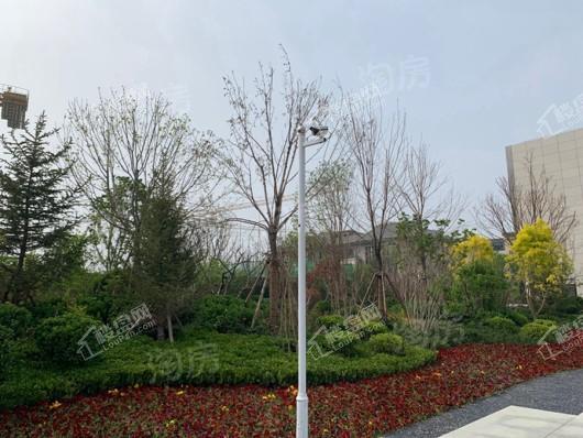 金辉中央云著实景图