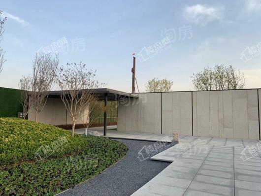 金辉中央云著实景图