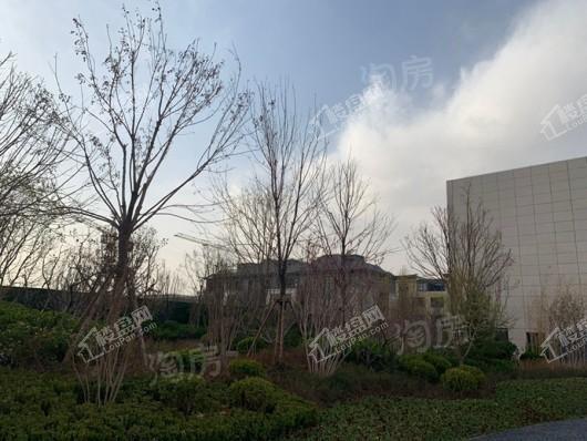 金辉中央云著实景图