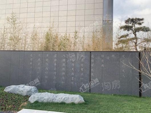 金辉中央云著实景图