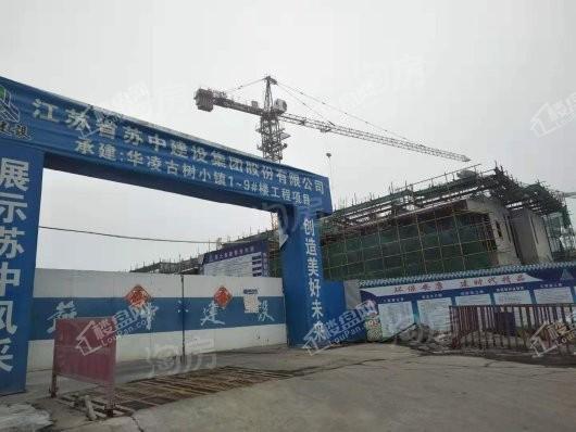 华凌古树小镇实景图