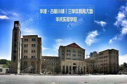 华凌古树小镇效果图