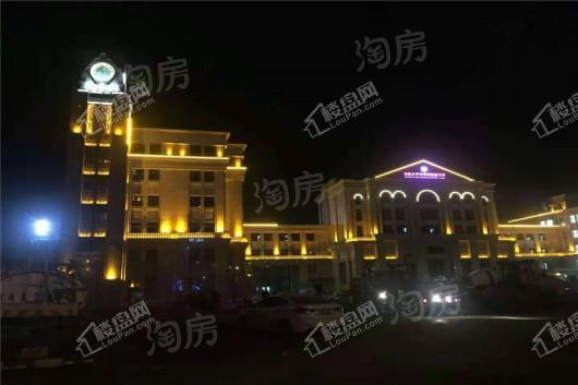 华凌古树小镇效果图