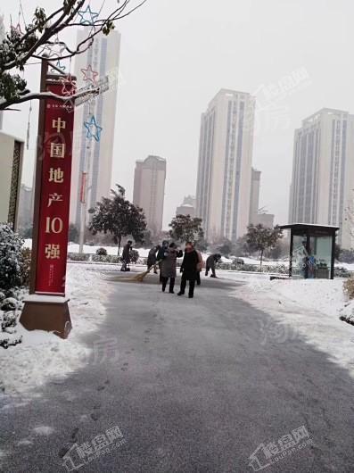 龙湖天宸原著实景图