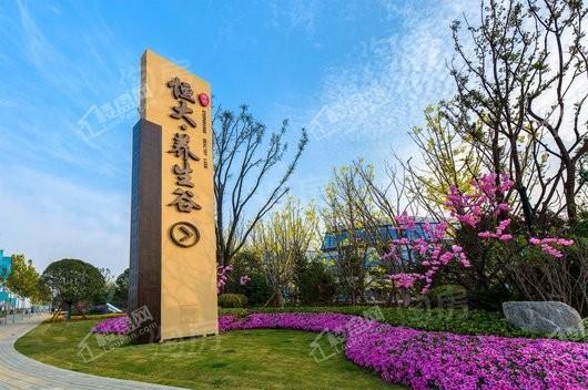 郑州恒大·养生谷实景图