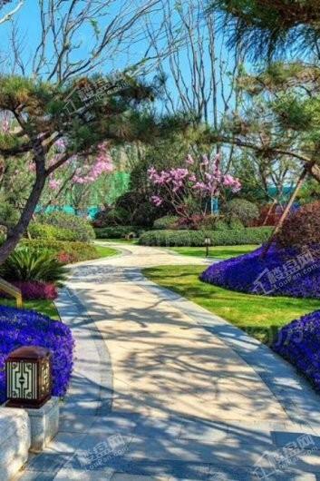 郑州恒大·养生谷实景图